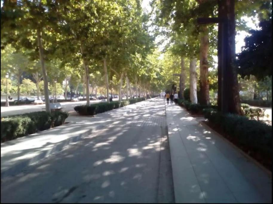 Hogar Del Lirio Apartment Granada Ngoại thất bức ảnh
